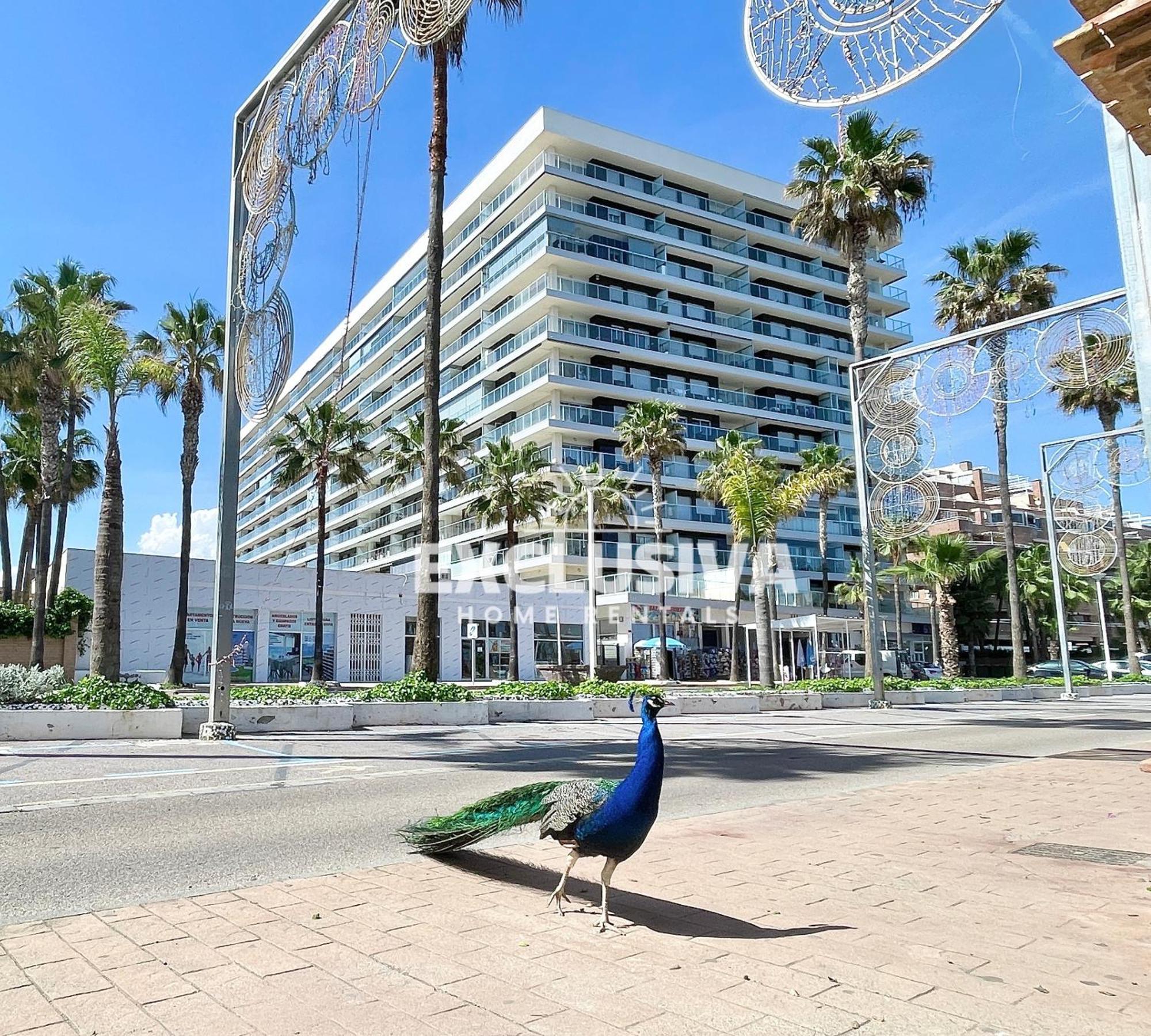 Apartamento Albamarina, 1ªlinea, Magic World, Vistas Al Mar! Oropesa del Mar Extérieur photo